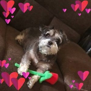 Meet your Posher, Wemdy